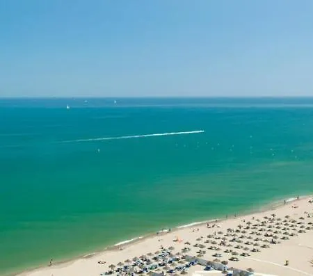 Higueronrentals El Olivo Apartment *